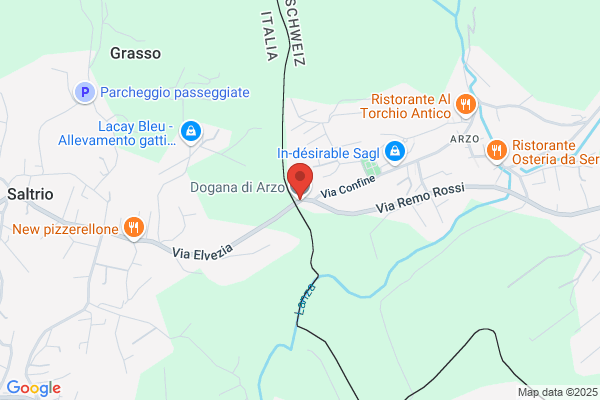 Dogana Svizzera