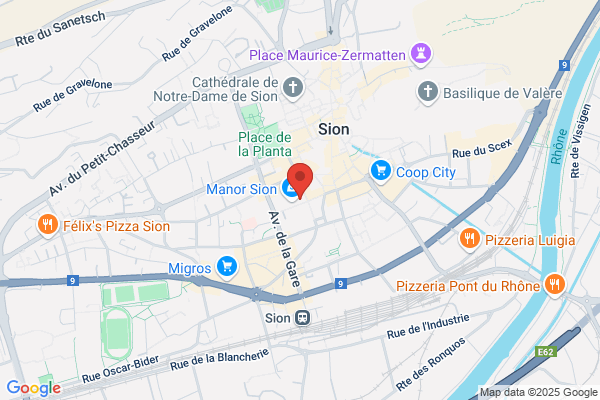 Services Industriels de Sion