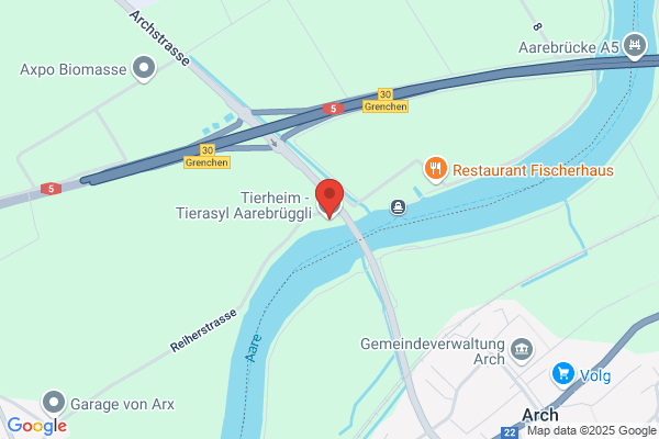Tierheim Schmid