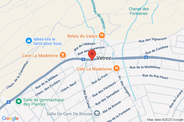 Denner Satellite