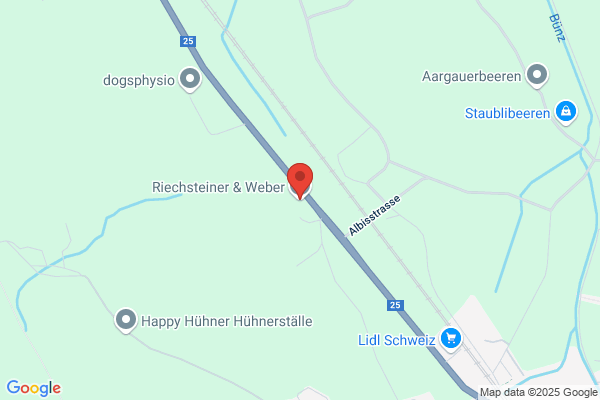 Riechsteiner & Weber AG