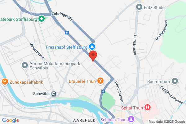 Wyss Immobilien