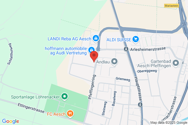 ICN Pharmaceuticals Switzerland AG