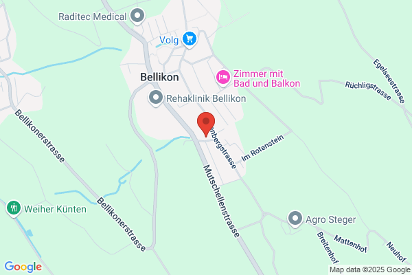 Federer Pflanzung und Pflege