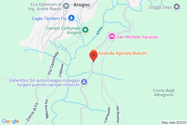 Mantegazzi Viaggi SA