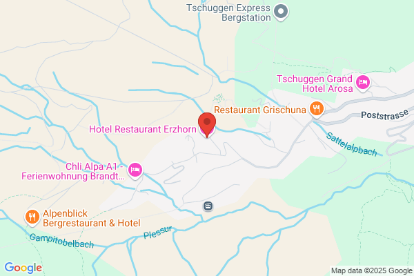 Hotel-Restaurant Erzhorn AG