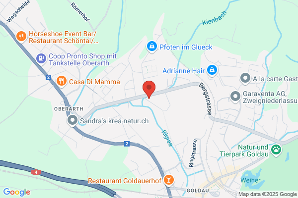 Auto-Moto-Fischlin