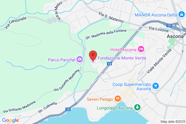 Michelangelo Monte Verità Albergo-Ristorante