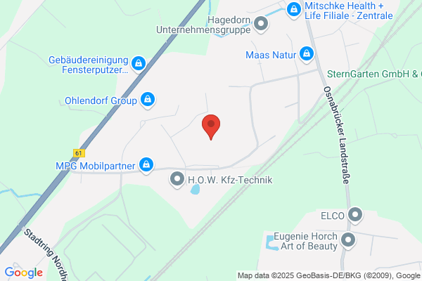EVS Electronic und Video Systems