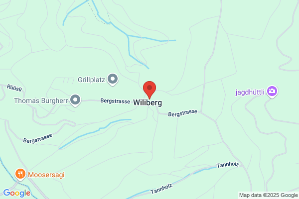 Schulhaus Wiliberg