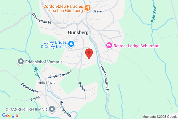 Ginsbo Watch Co AG