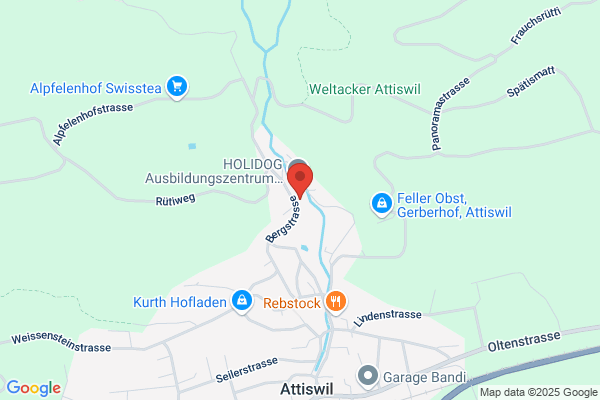 Hohl Heizungen