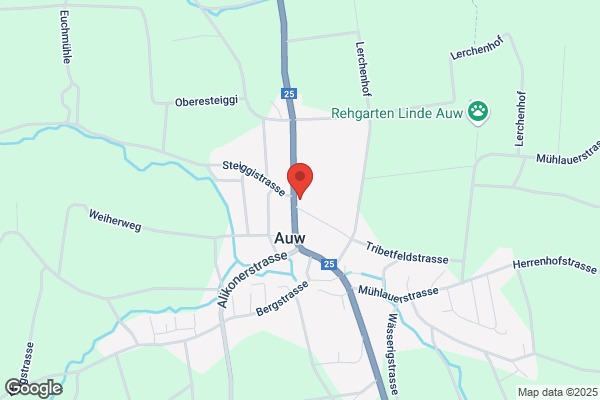 Auto Bucher