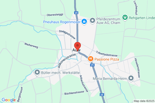 Elektrizitaetsgenossenschaft