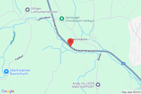 Hansruedi Buetler