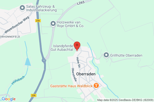 Islandpferde Ausbildungs-Zentrum