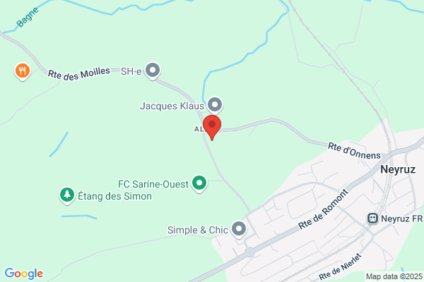 Nierlet Immobilier SA