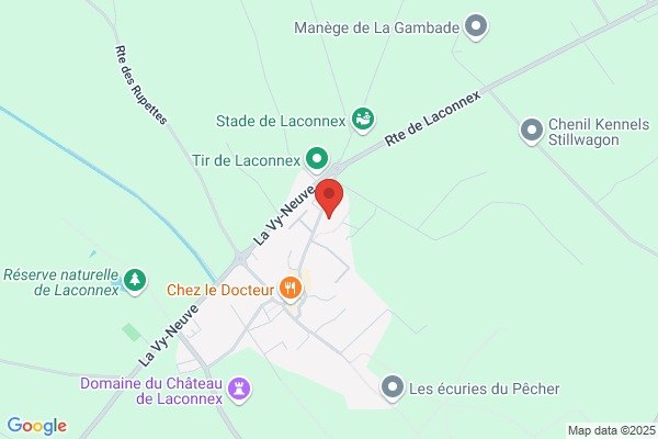 Borghi C und F Services