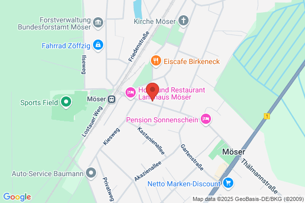 Hans Siebert