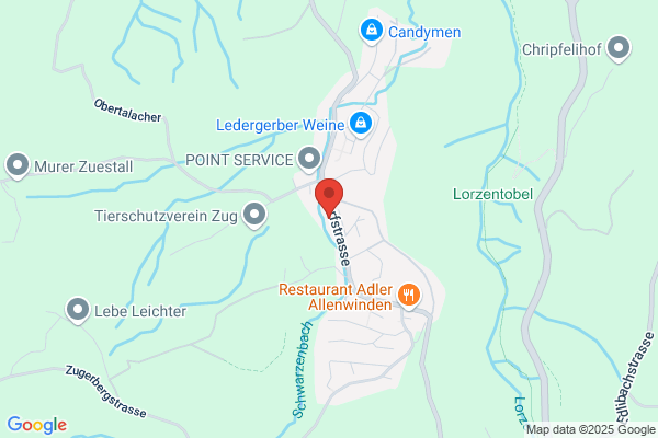 Gasthaus Loewen