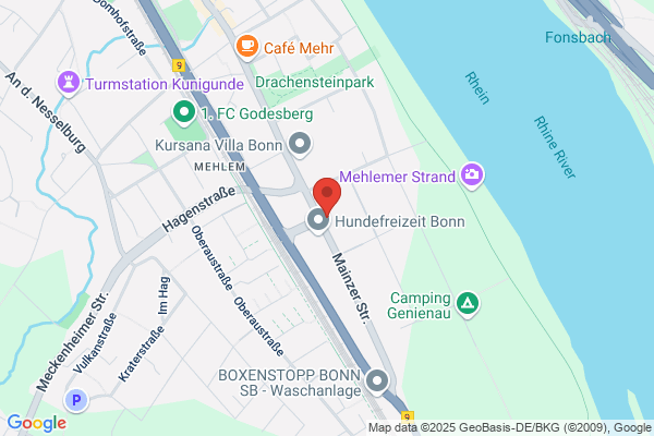 SFV Fruchtvertriebs GmbH