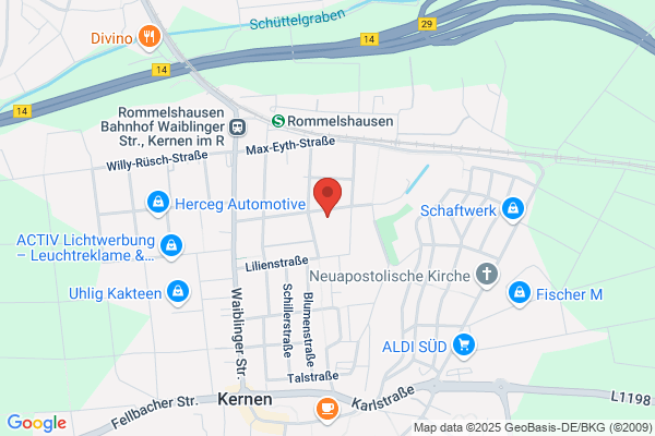 Renovatech