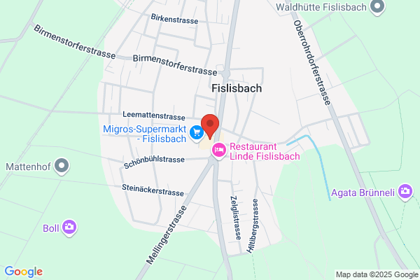 Schibli Floristik