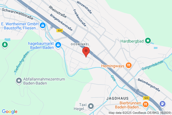 TSCHUDAP Ing. Buero