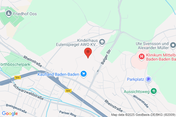 Berufswahlschule