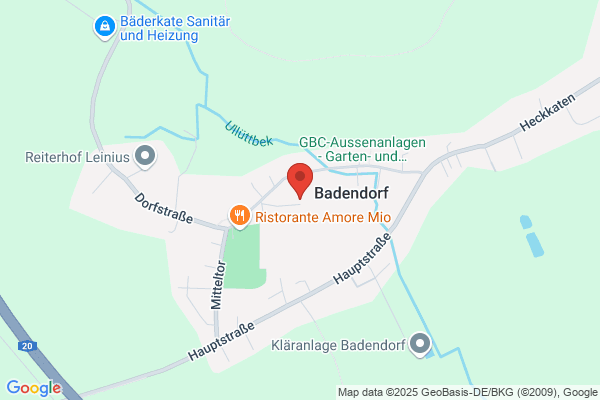 wittneben consult