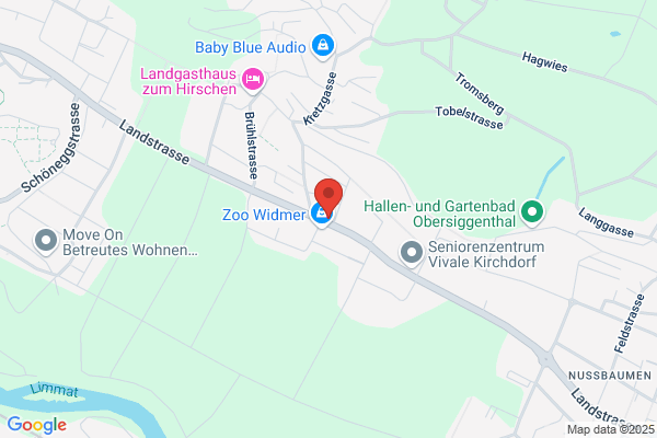 Gino Binda AG