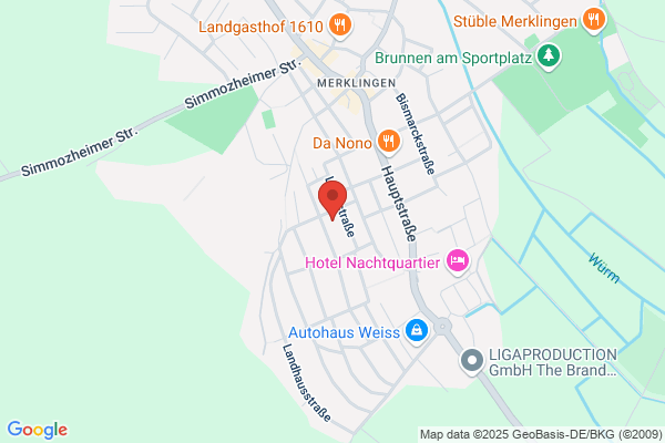 Mentaltraining und NLP I. Bacher