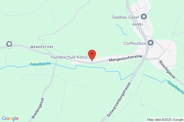 Hundeschule Köniz