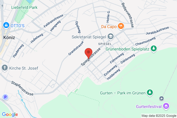 Gschaenkeria