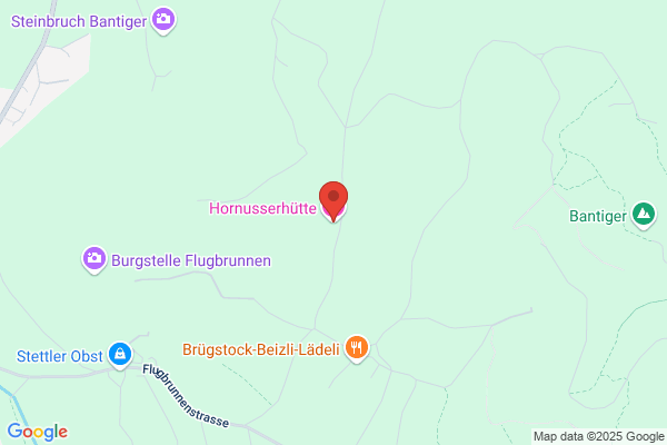 Hornusser-Gesellschaft