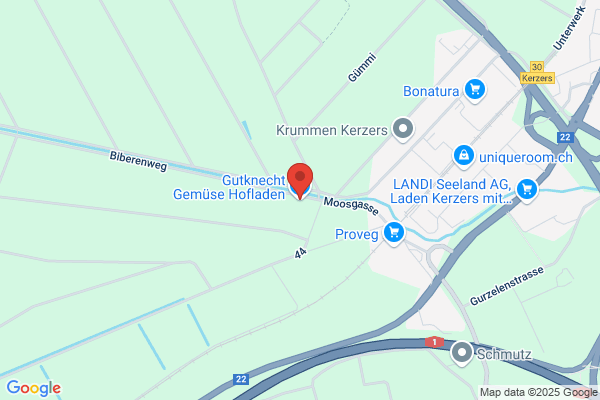 Bruno Gutknecht
