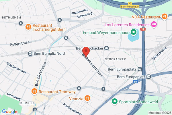 Hornissen Experten Kanton Bern