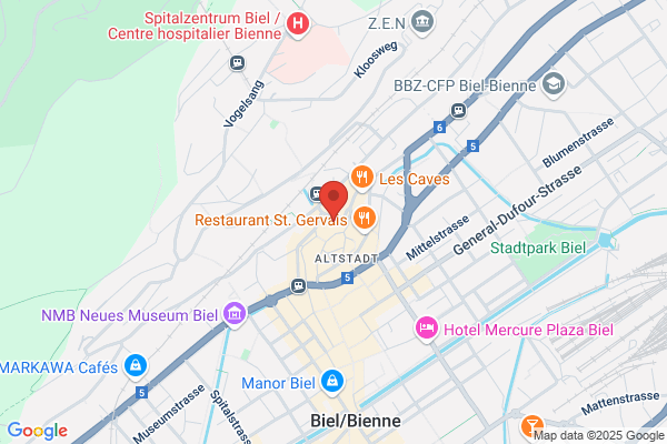 Hugo Schaerer