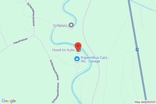 Geri Müller GmbH
