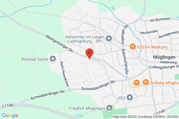 Limo4you, Limousine Service Voegeli und Co.