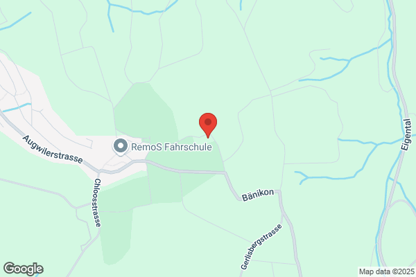 Hundeheim Kyburz AG