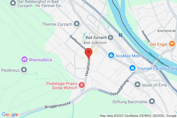 Basler Versicherungs- Gesellschaft