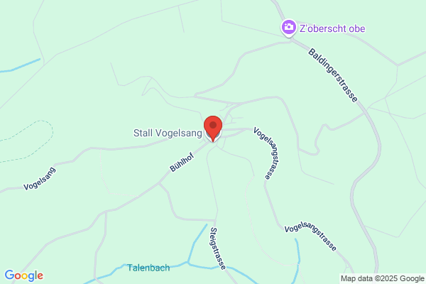 Stall Vogelsang