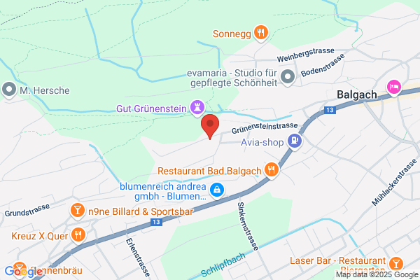 Baugesellschaft Domus AG