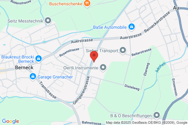 Rheintaler Druckerei und Verlag AG