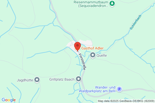 Restaurant Adler