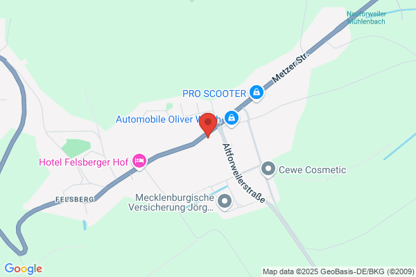 Web-Shop Allemann