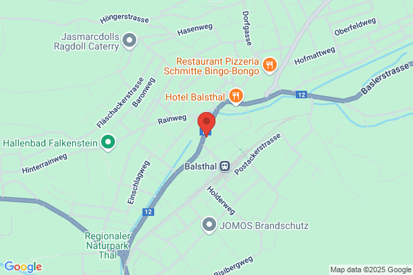 Basler Versicherungs- Gesellschaft