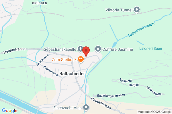 Basler Versicherungs- Gesellschaft