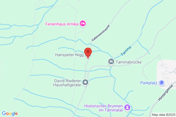 Hanspeter Nigg